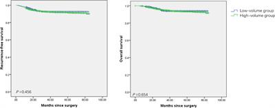 Assessment of ESGO Quality Indicators in Cervical Cancer Surgery: A Real-World Study in a High-Volume Chinese Hospital